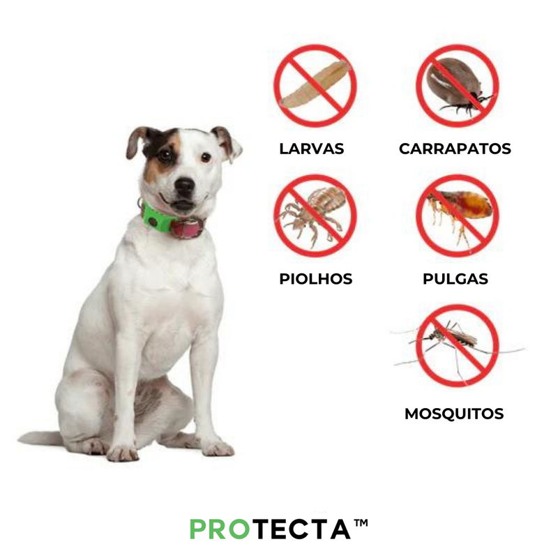 Coleira Anti Pulga Protecta (12 Meses de Proteção)